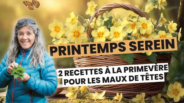 4. Maux de tête et digestion… 2 recettes à la primevère