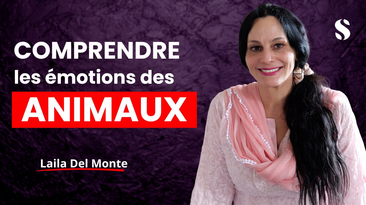 image du programme
